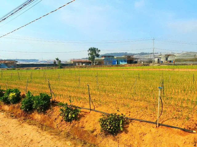 Bất động sản tại Lâm Đồng - ảnh 1