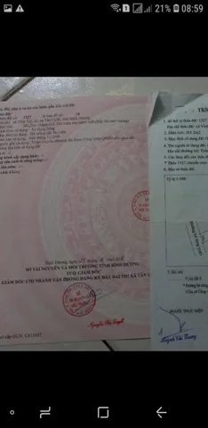 Bất động sản tại Bình Dương - ảnh 1