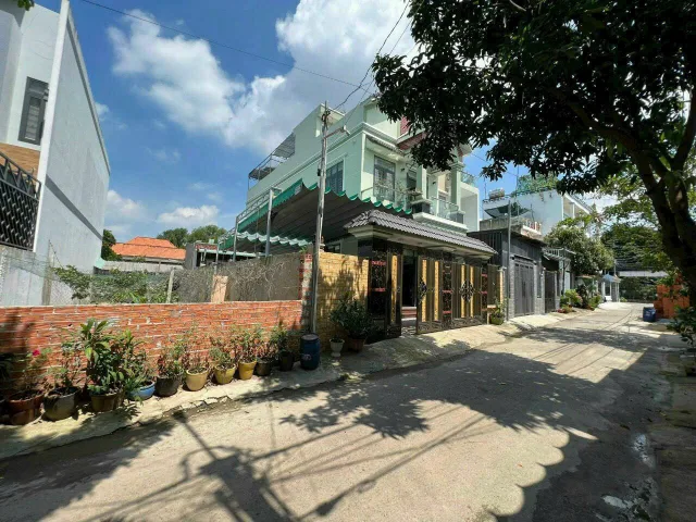 Bất động sản tại Bình Dương - ảnh 1