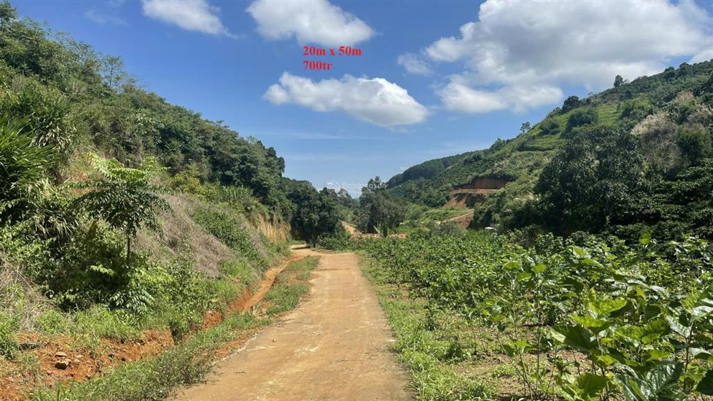 Bất động sản tại Lâm Đồng - ảnh 1