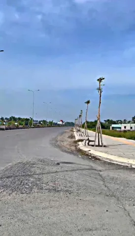 Bất động sản tại Long An - ảnh 1