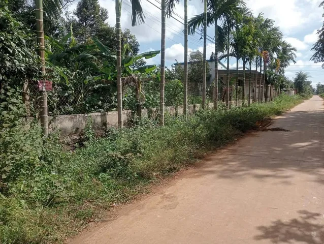Bất động sản tại Đắk Lắk - ảnh 1