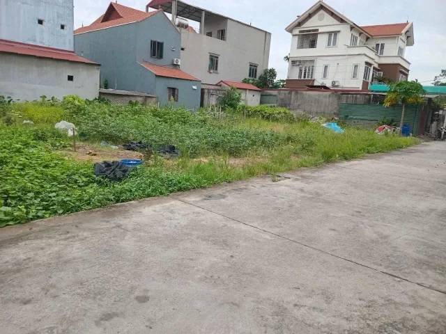 Bất động sản tại Hưng Yên - ảnh 1
