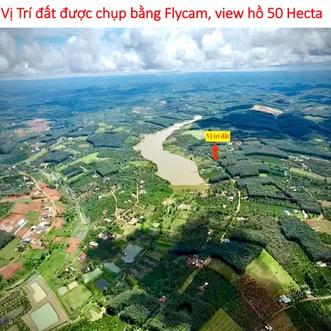 Bất động sản tại Lâm Đồng - ảnh 1