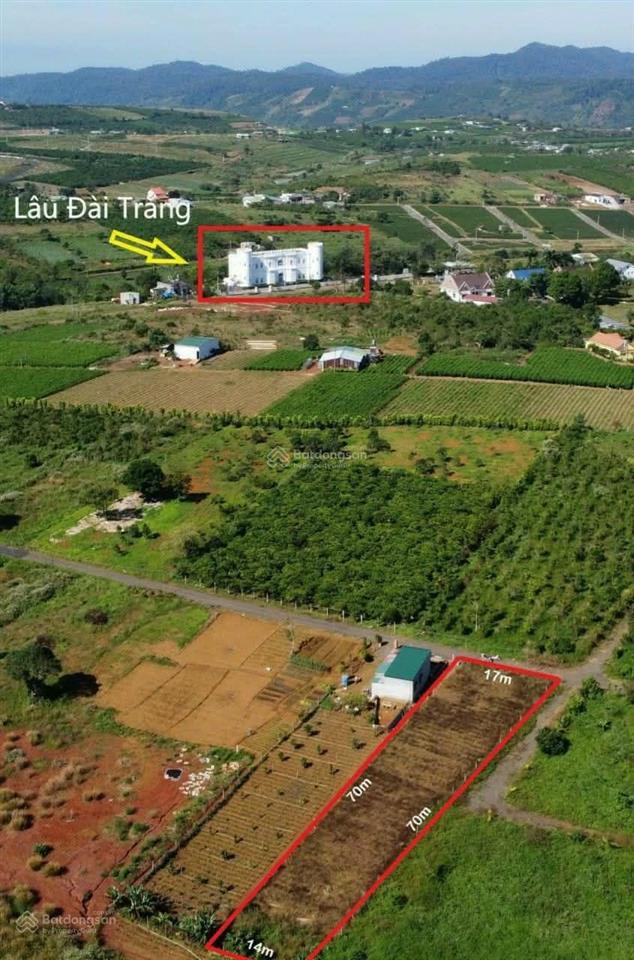 Bất động sản tại Lâm Đồng - ảnh 1