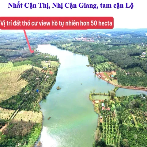 Bất động sản tại Lâm Đồng - ảnh 1