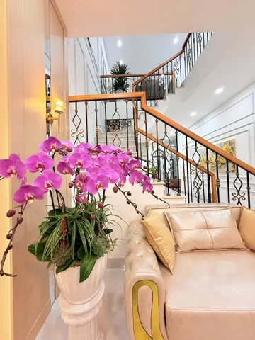 Bất động sản tại Đắk Lắk - ảnh 1