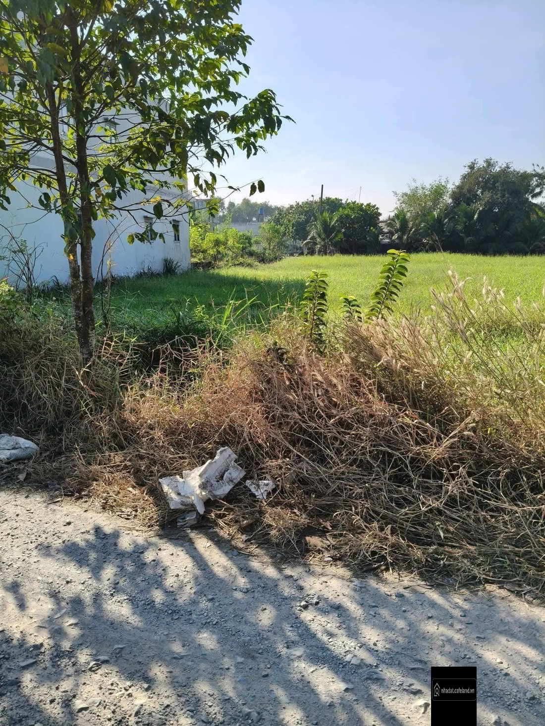 Bất động sản tại Tây Ninh - ảnh 1