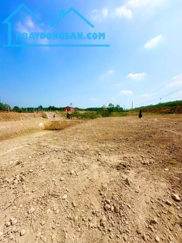 Bất động sản tại Tây Ninh - ảnh 1