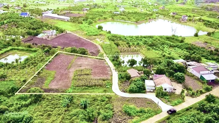 Bất động sản tại Lâm Đồng - ảnh 1