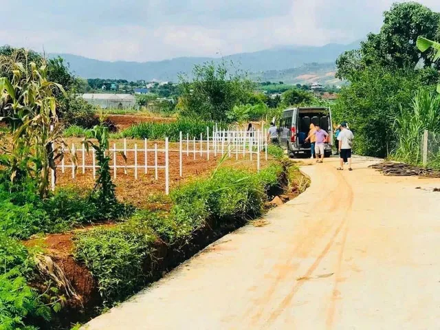 Bất động sản tại Lâm Đồng - ảnh 1