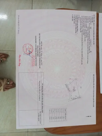 Bất động sản tại Đắk Lắk - ảnh 1
