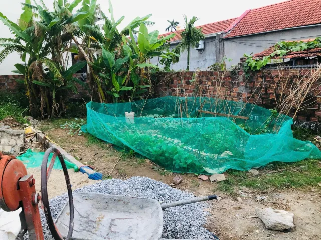 Bất động sản tại Hải Phòng - ảnh 1