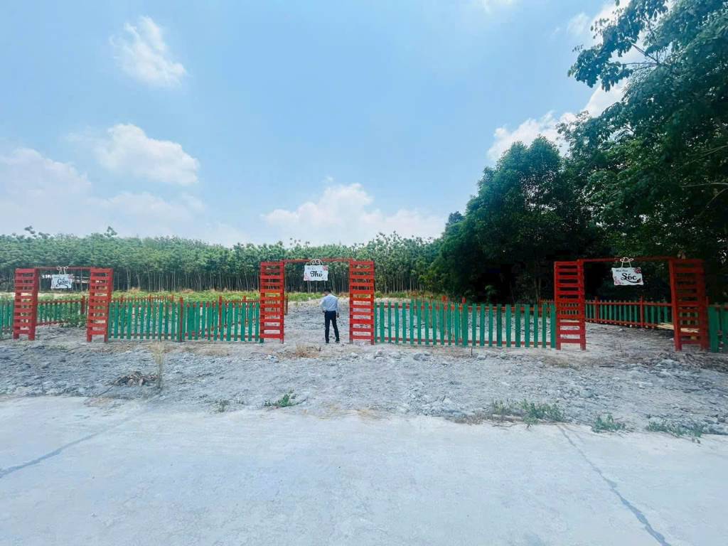 Bất động sản tại Bình Phước - ảnh 1