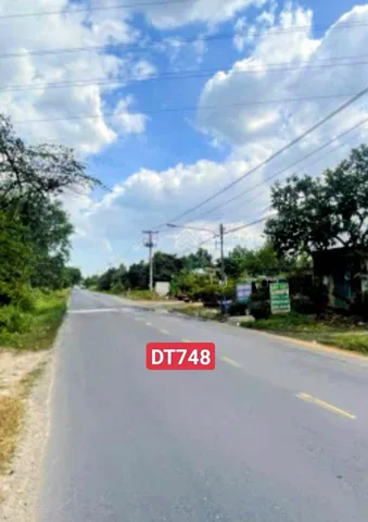 Bất động sản tại Bình Dương - ảnh 1