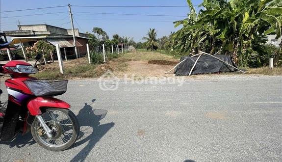 Bất động sản tại Long An - ảnh 1
