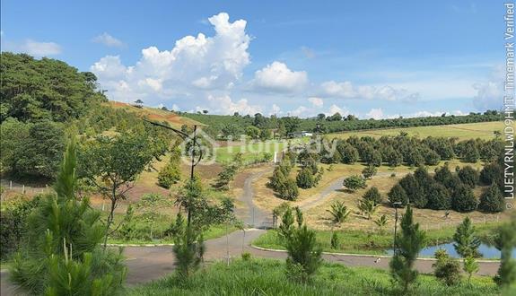 Bất động sản tại Lâm Đồng - ảnh 1