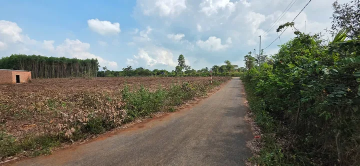 Bất động sản tại Bà Rịa - Vũng Tàu - ảnh 1