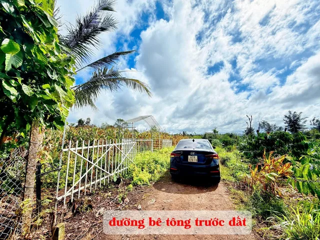 Bất động sản tại Đắk Lắk - ảnh 1