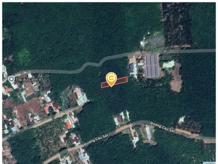 Bất động sản tại Bình Dương - ảnh 1
