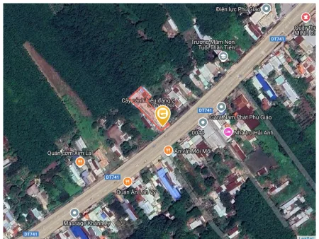 Bất động sản tại Bình Dương - ảnh 1