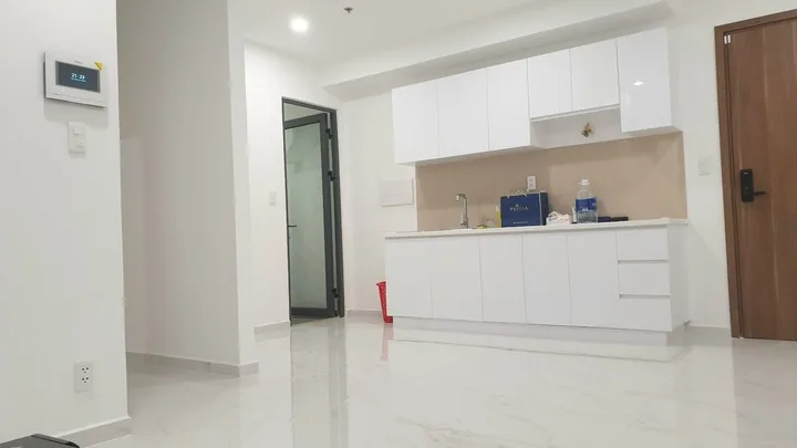 Bất động sản tại TP. Hồ Chí Minh - ảnh 1
