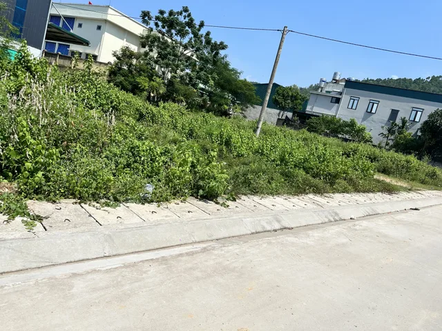 Bất động sản tại Quảng Ninh - ảnh 1