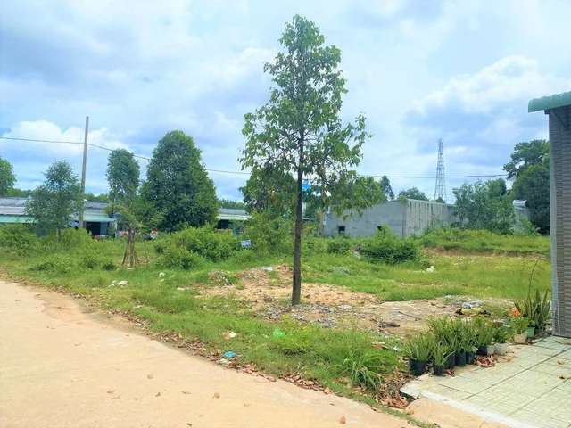 Bất động sản tại Bình Phước - ảnh 1