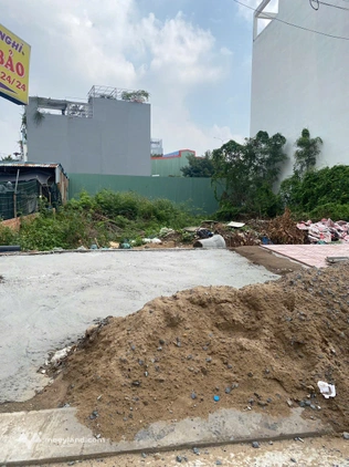 Bất động sản tại Long An - ảnh 1