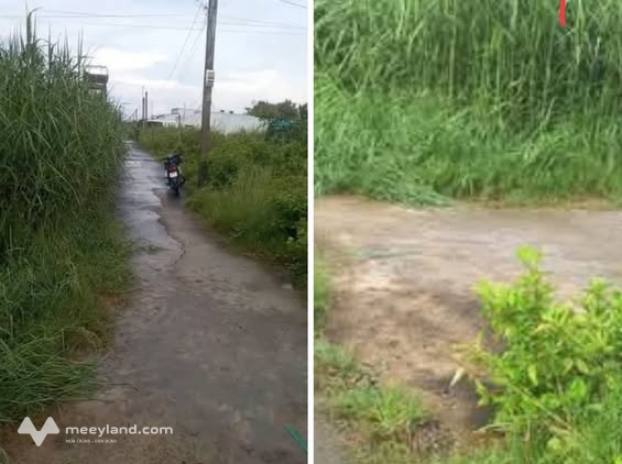 Bất động sản tại Cà Mau - ảnh 1