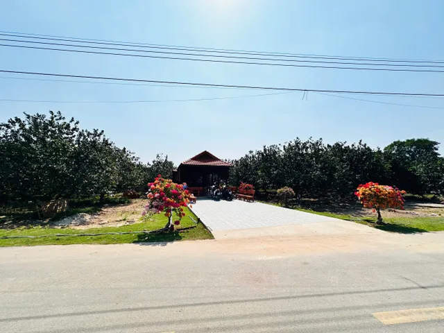 Bất động sản tại Bình Dương - ảnh 1