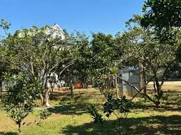 Bất động sản tại Bình Dương - ảnh 1