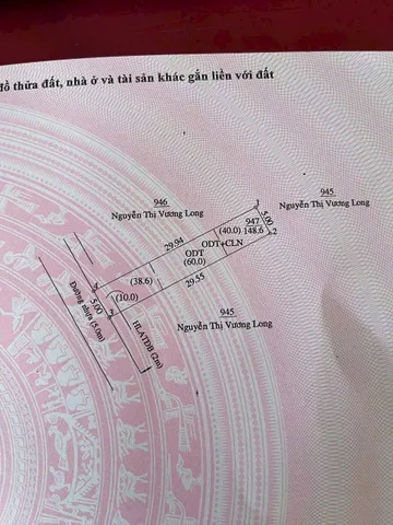 Bất động sản tại Bình Dương - ảnh 1