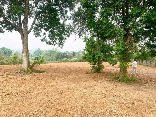 Bất động sản tại Hòa Bình - ảnh 1
