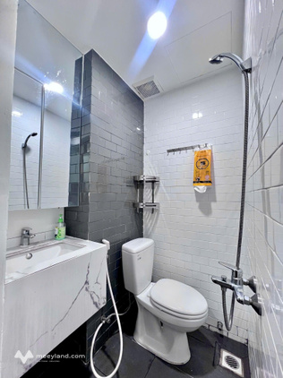 Bất động sản tại TP. Hồ Chí Minh - ảnh 1