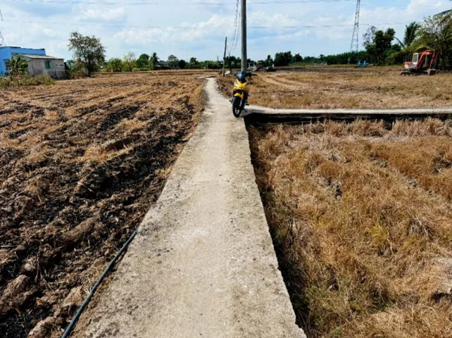 Bất động sản tại Long An - ảnh 1