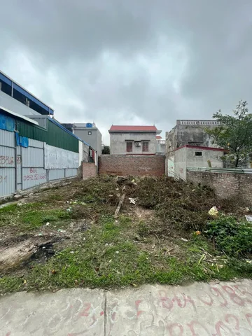 Bất động sản tại Hải Phòng - ảnh 1