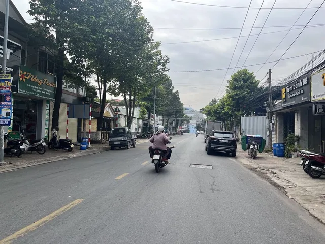 Bất động sản tại Bình Dương - ảnh 1