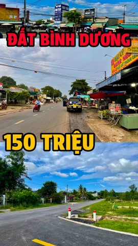 Bất động sản tại Bình Dương - ảnh 1