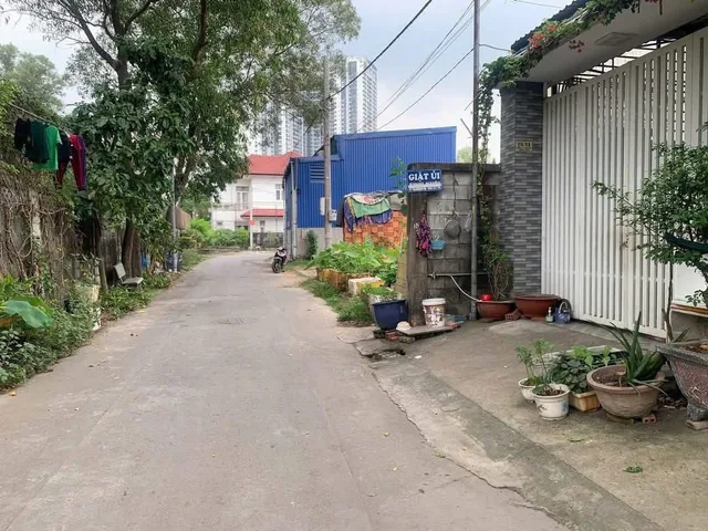 Bất động sản tại Bình Dương - ảnh 1