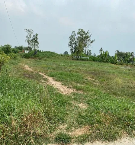 Bất động sản tại Tiền Giang - ảnh 1