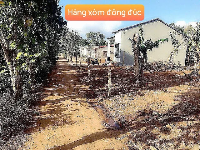 Bất động sản tại Đắk Lắk - ảnh 1