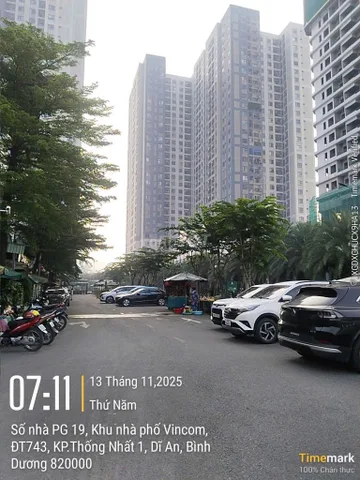 Bất động sản tại Bình Dương - ảnh 1