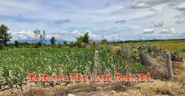 Bất động sản tại Đắk Lắk - ảnh 1