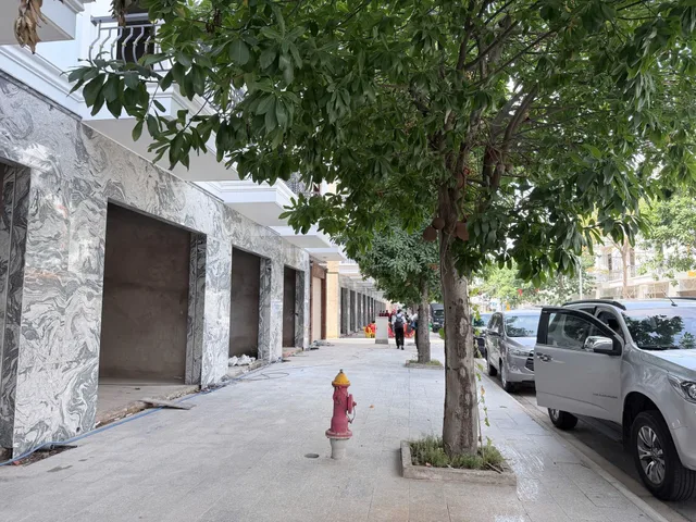 Bất động sản tại Bình Dương - ảnh 1