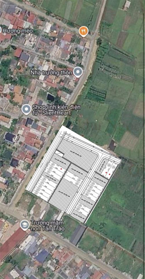Bất động sản tại Hải Phòng - ảnh 1