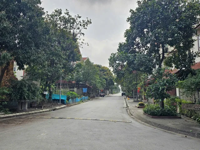 Bất động sản tại Bắc Ninh - ảnh 1