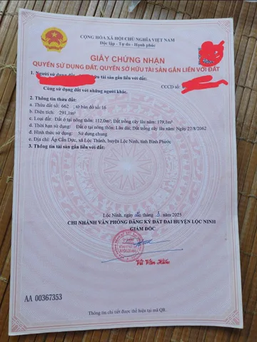 Bất động sản tại Bình Phước - ảnh 1