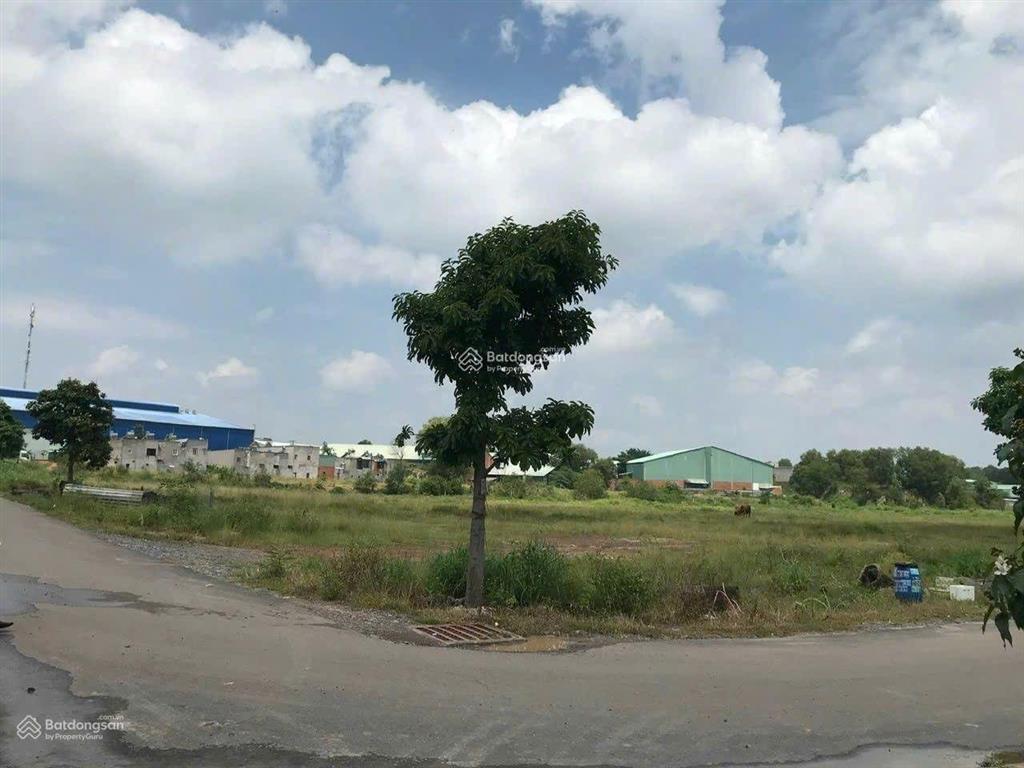 Bất động sản tại Bình Dương - ảnh 1