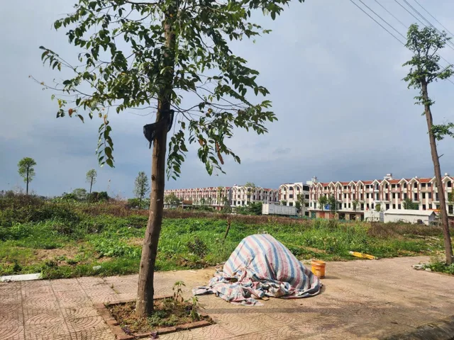 Bất động sản tại Bắc Ninh - ảnh 1
